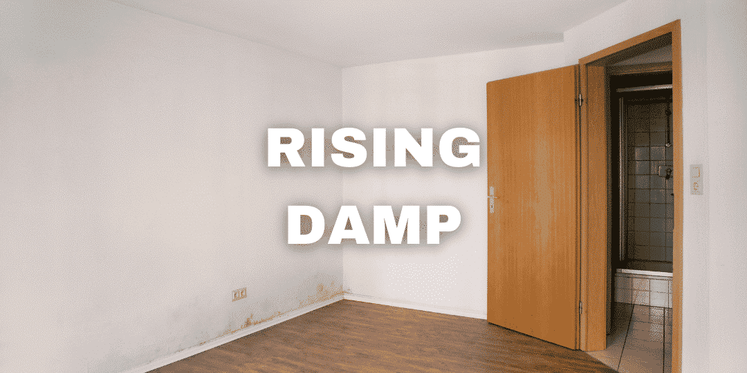 What Is Rising Damp - No Hydro Damp Proof Cream DPC